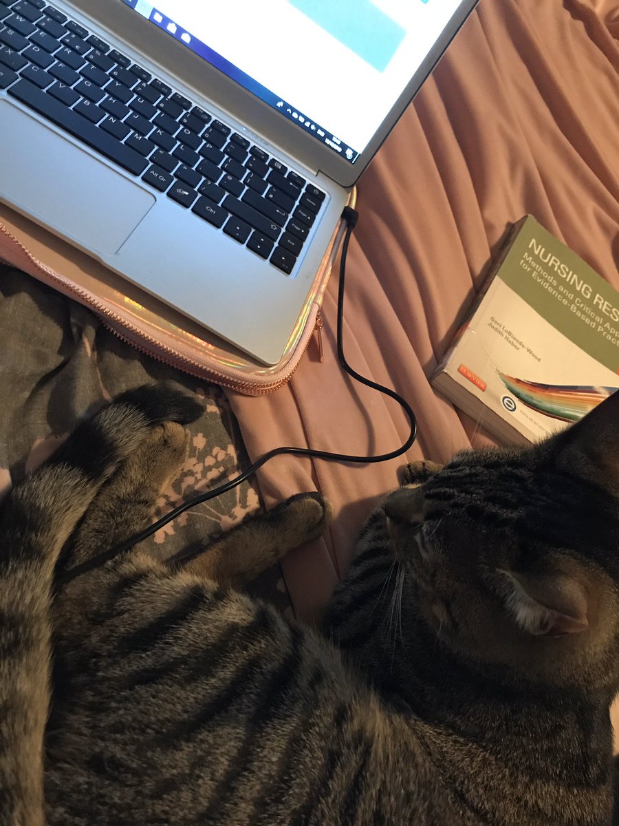 Helping With My Studying 🐈💖 #PUNC19