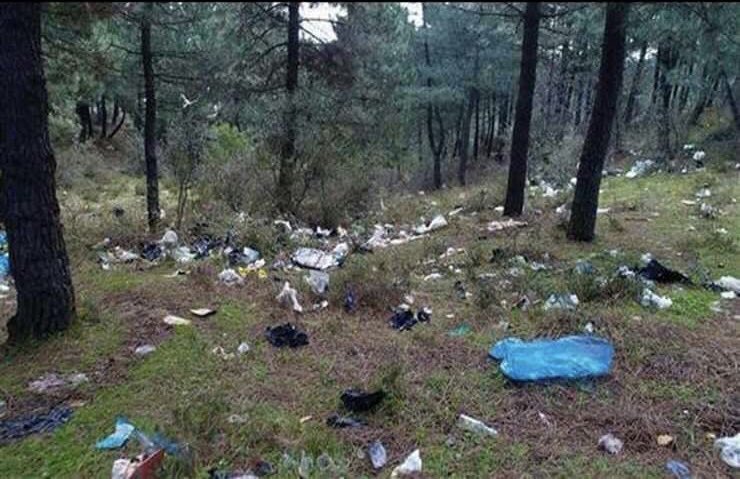 Binlerce Ayıyı Bir Araya Getir,
Ormanı Bu Hale Getiremezler!