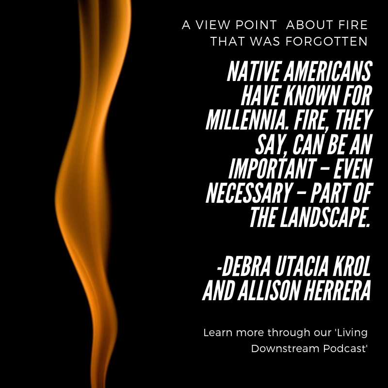 norcalpublic's tweet photo. "Native Americans have known for millennia that fire can be an important - even necessary - part of the landscape."
Listen on Living Downstream:
https://t.co/K7owxrX00M
#livingdownstream #environmentaljustice #climatestrike https://t.co/jtVE51kC3S