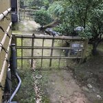 まいころりん《大阪・福岡・横浜ヨロシク!》のツイート画像