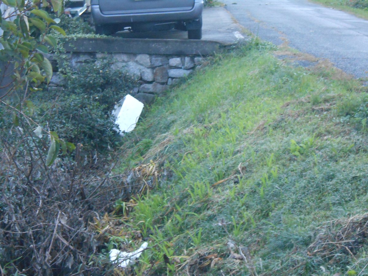Take 散歩中気が付いたのだが 河川敷 堤防法面の植栽 建築物 これって合法なの 違法なのどっち 越水 決壊の原因の一つになるのでは 行政判断を 福島県県庁 いわき市役所 好間支所