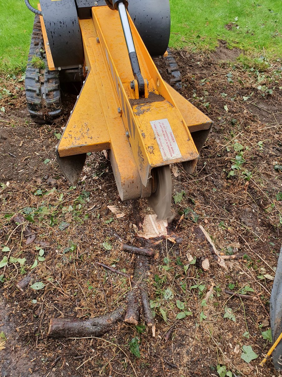 Removing some diseased hedge stumps in Witham, Essex. We are here to help you with all your tree stump grinding needs. W…