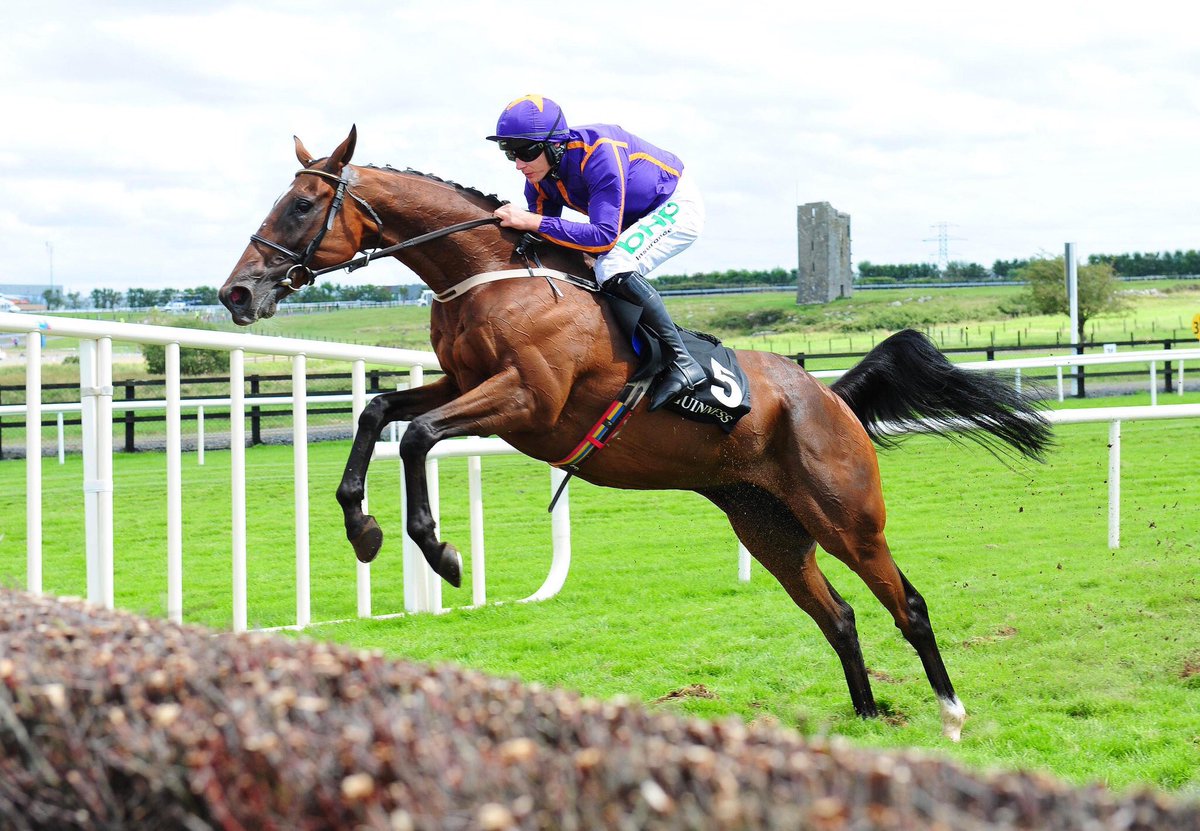 AtTheRaces's tweet photo. Terrible news - @FarHillsRace confirm that Wicklow Brave has sadly lost his life. Our sympathies are with those closest to this fantastic horse.

Rest in peace, Wicklow Brave - the ultimate racehorse https://t.co/iMmDjRCrYq