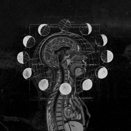 Archillect (@archillect) on Twitter photo 