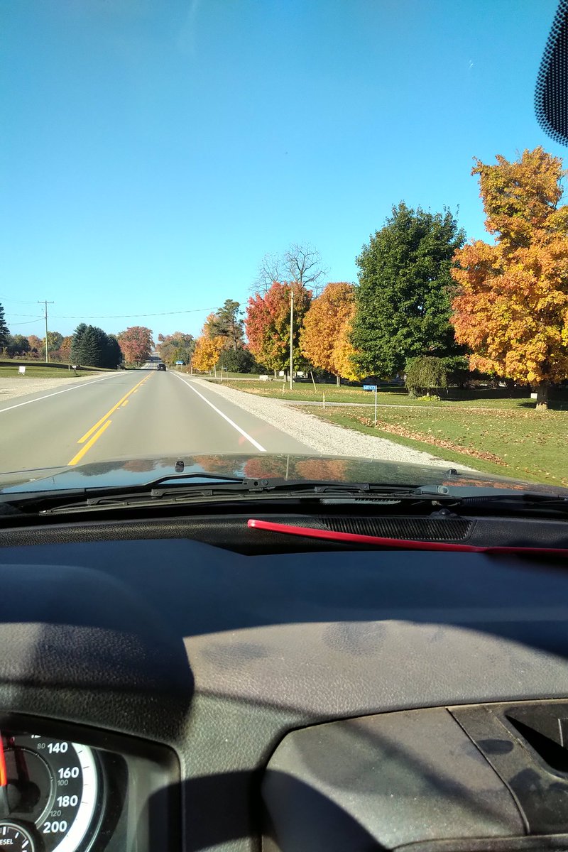 TVRSCIA's tweet photo. #MissDixie and I enjoyed the fall colours on wood deliveries this gorgeous fall day. The back roads were a much nicer drive for sure! And, she slept most of the time but still....a great day! https://t.co/MJHo58P68S