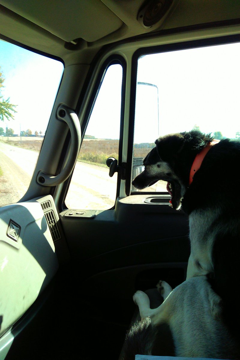 TVRSCIA's tweet photo. #MissDixie and I enjoyed the fall colours on wood deliveries this gorgeous fall day. The back roads were a much nicer drive for sure! And, she slept most of the time but still....a great day! https://t.co/MJHo58P68S
