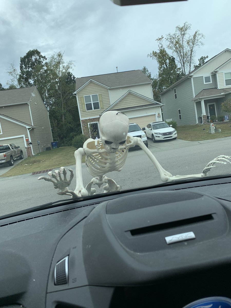 kspangle57's tweet photo. Fred says don’t leave without me! #Fredtober #31DaysofFred https://t.co/OBH1FhFmRl
