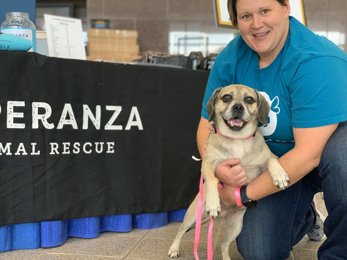 Come meet some of our 4-legged friends tonight! All are adoptable and ready to find their forever homes!