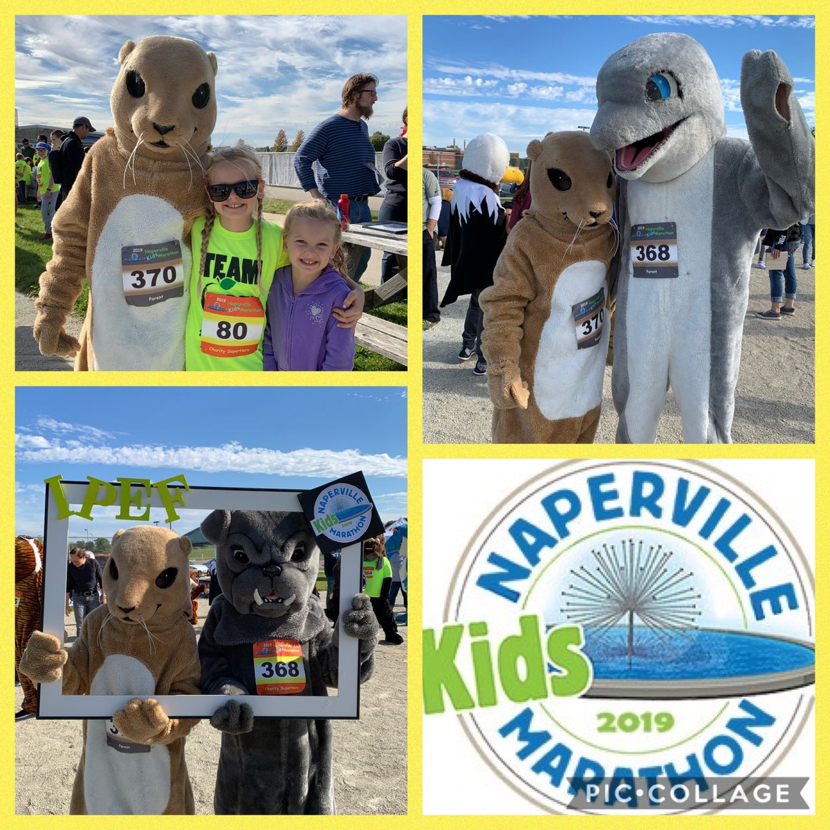 PattersonPDogs's tweet photo. It was a beautiful day for the the IPEF Kids marathon☀️. We’re super proud of all the Pdogs  who worked hard and trained to run this final mile of their 26.2!  You rock! @ipef204 https://t.co/YMHL2Jfq8Y