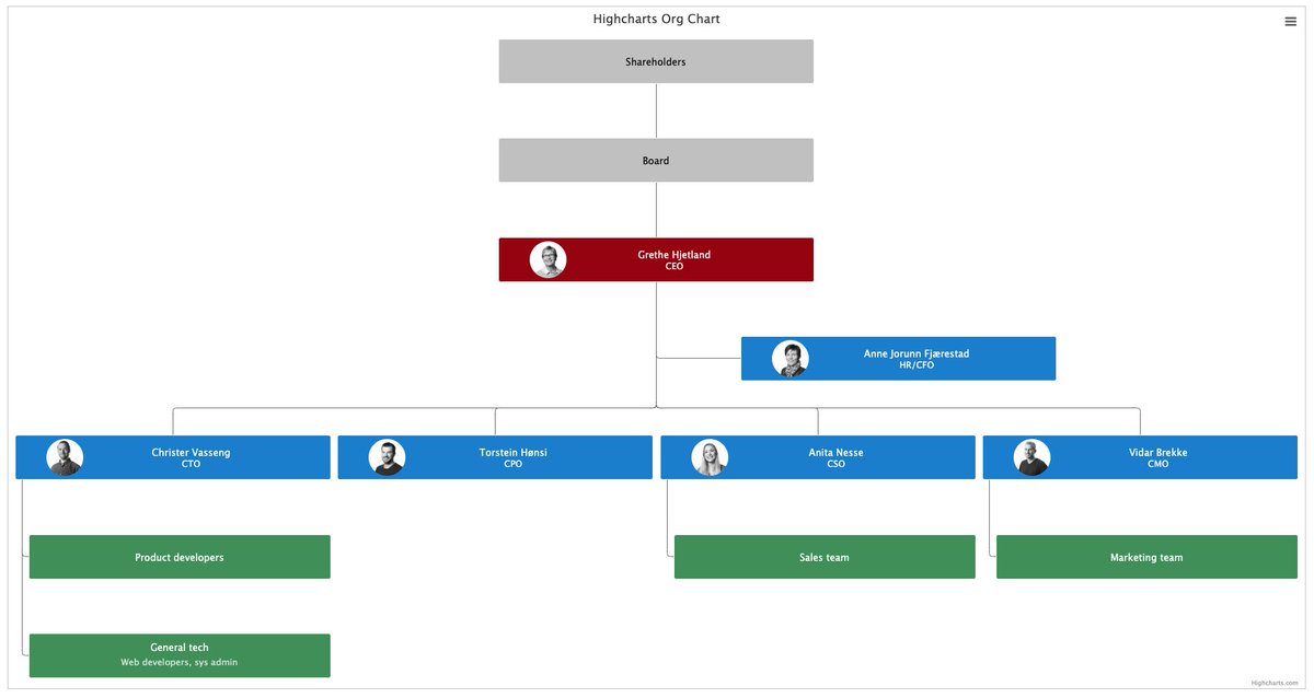 Cso Organization Chart