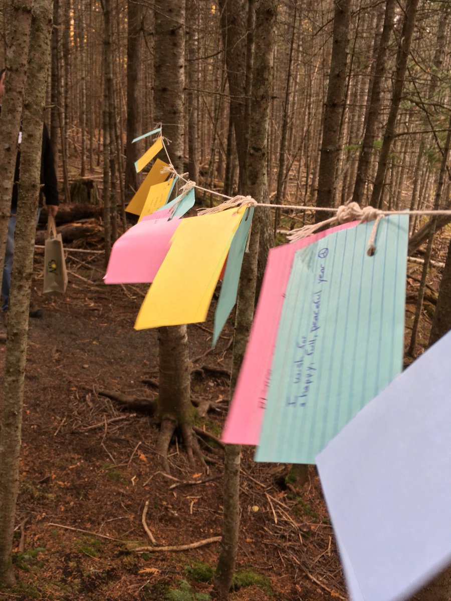 CPAWSNB's tweet photo. It was the perfect fall day to host our first ever Thanks to Nature event at Mactaquac last weekend. We had many people join us to partake in our mindfulness activities. We are grateful for all our participants and volunteers who helped make the event successful! #thankstonature https://t.co/G93gD80VnH