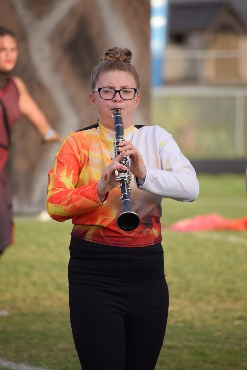 Tarpon Conservatory tweet media