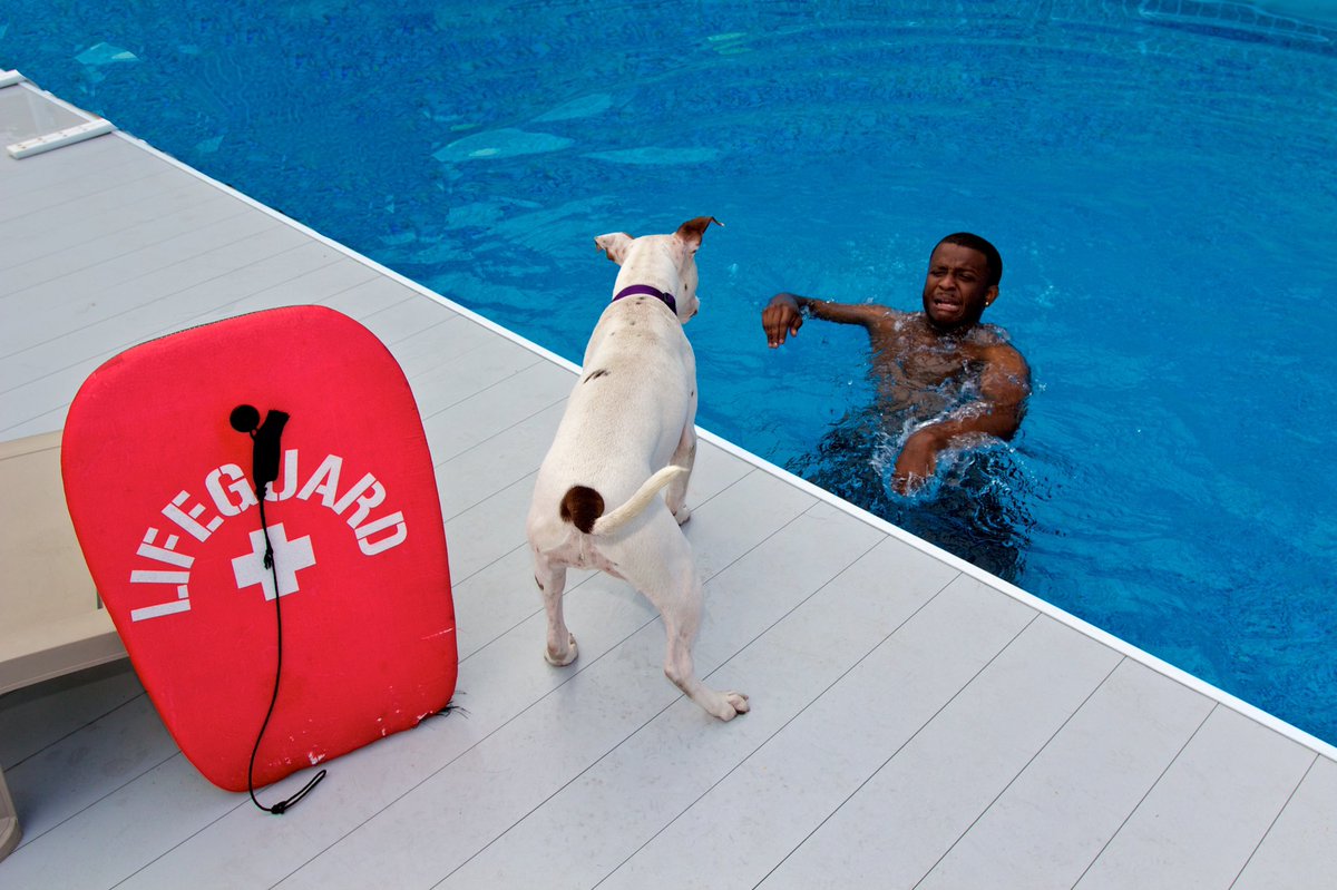 langstonphotog's tweet photo. Throwback 6 years to the Dogs and Comedians series for the @hobokencomedy calendar. @mattwasfunny 
#Comedy #comedian #shelterdog #hoboken #hobokencomedyfestival https://t.co/NTZwo6Jd7A