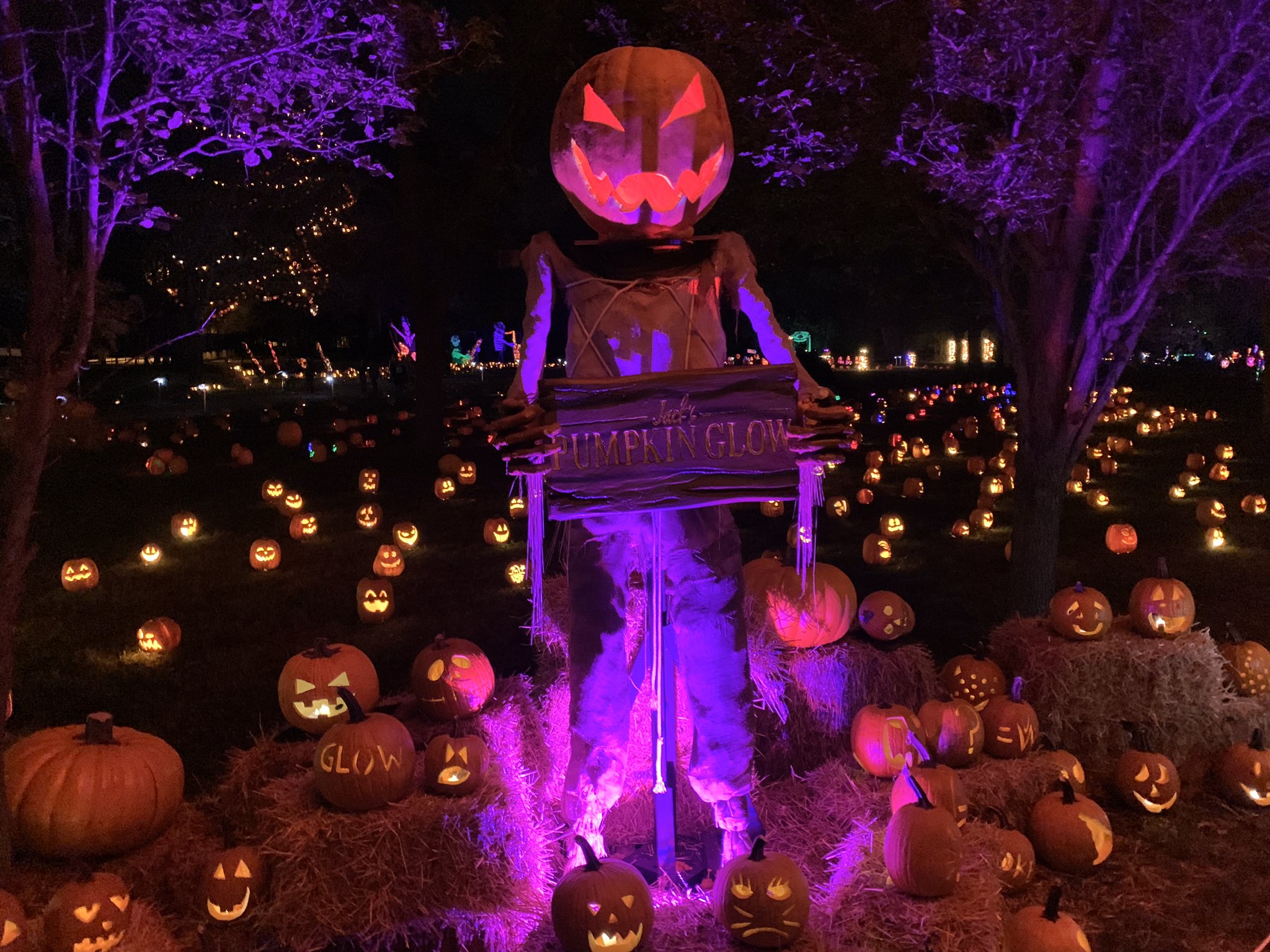 Jack's Pumpkin Glow (TheGlowPumpkin) / Twitter
