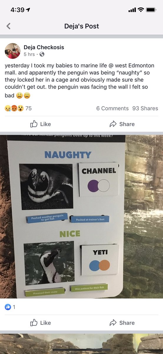 These are the disgusting conditions the penguins in <a href="/official_wem/">West Edmonton Mall</a> are kept in. There is a penguin inside the cage. Even if cages were pristine, it’s still wrong to exploit/profit off of these beings. 
<a href="/official_wem/">West Edmonton Mall</a> when will you commit to NO NEW ANIMALS in your horrific exhibits?