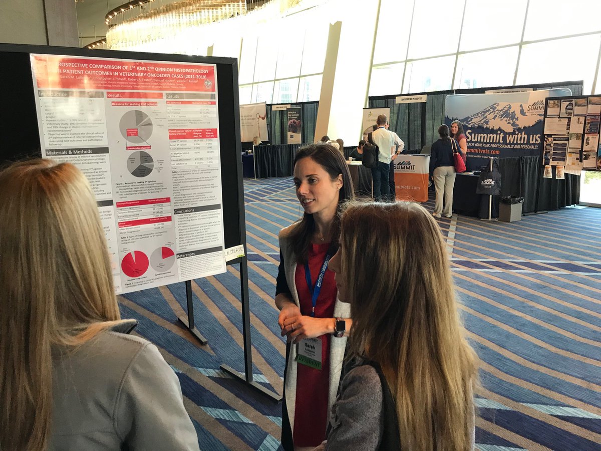 MutsaersLab's tweet photo. All 3 of our oncology residents had poster presentations at VCS this year! Congrats to Drs. Sarah Bernard, Chris Pinard and Sarah Laliberte on their excellent work! #VCS2019 @OntVetCollege @chrispinard @VeterinaryCanc1 https://t.co/MWtCuRCg6N