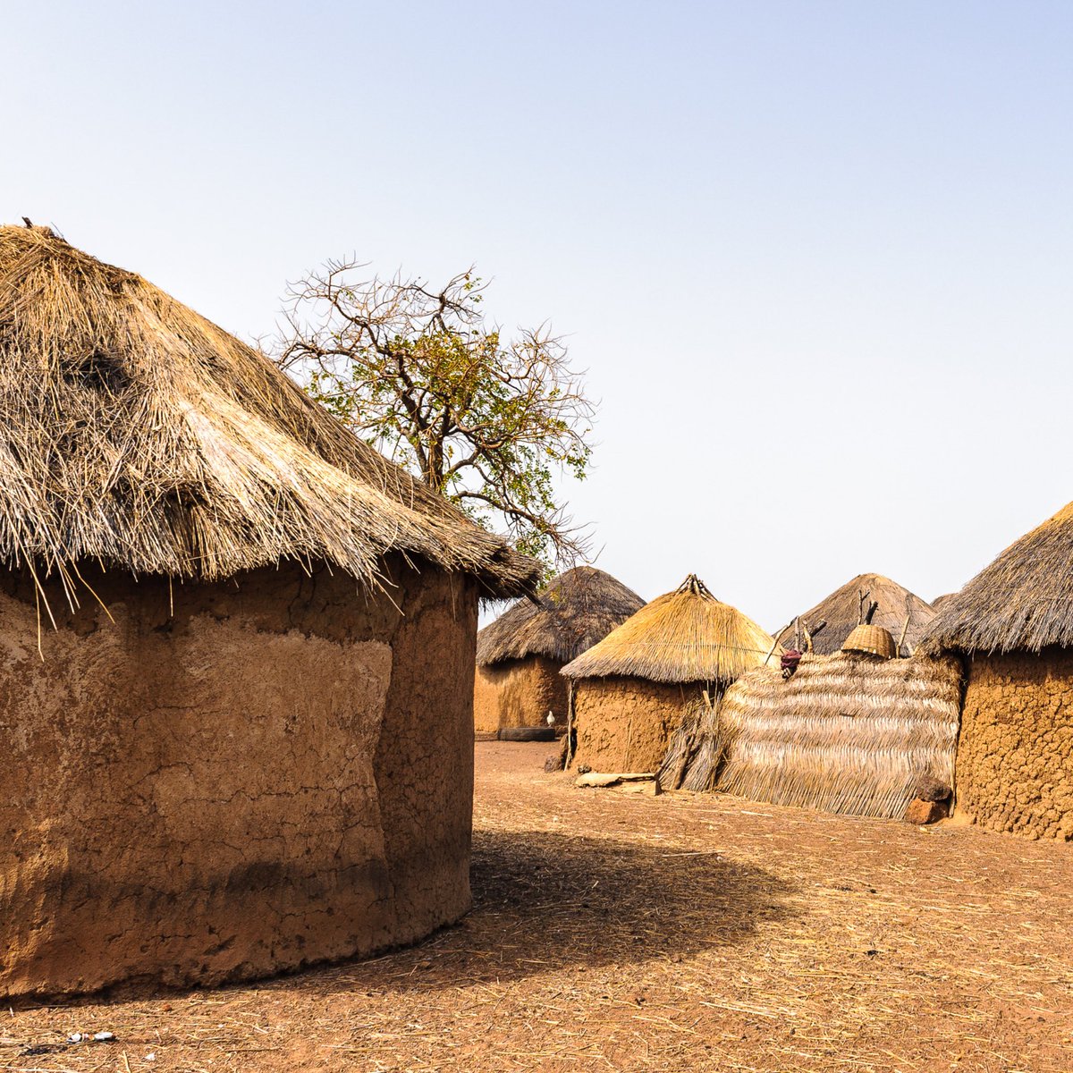 👣 Red Rocks Initiatives wants to connect your community with ours. | Where have you visited in the last year? | What is a dream destination for you? | Check out our initiatives and plan a visit one day.  

 <a href="/UNWTO/">UN Tourism</a> @africantourismboard <a href="/aluconservation/">ALU School Of Wildlife Conservation</a>