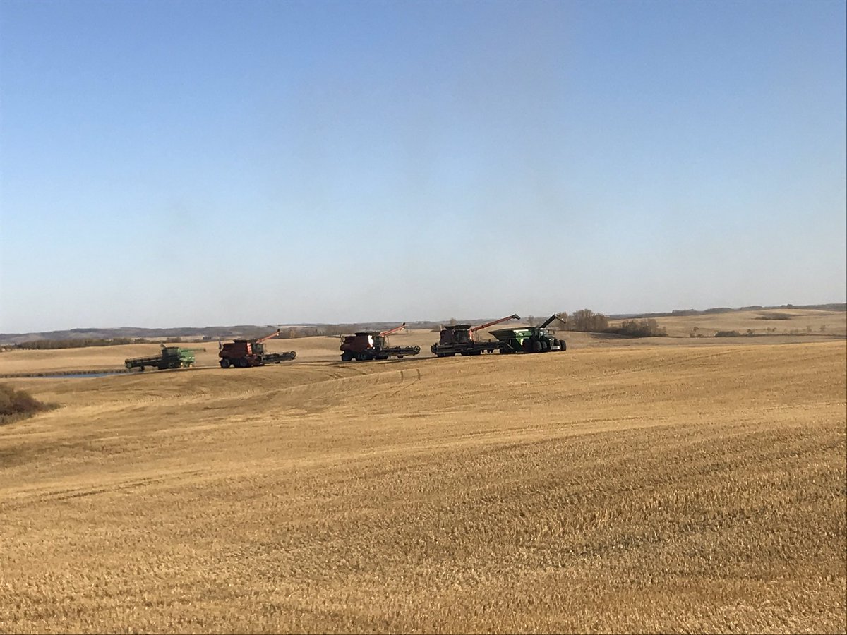 DMoses35's tweet photo. @JMManufacturing @JMManufacturing 3rd year with our 1522 on tracks, not a lick of trouble and so smooth across the field! #JMHarvest https://t.co/Ifj762ezXU