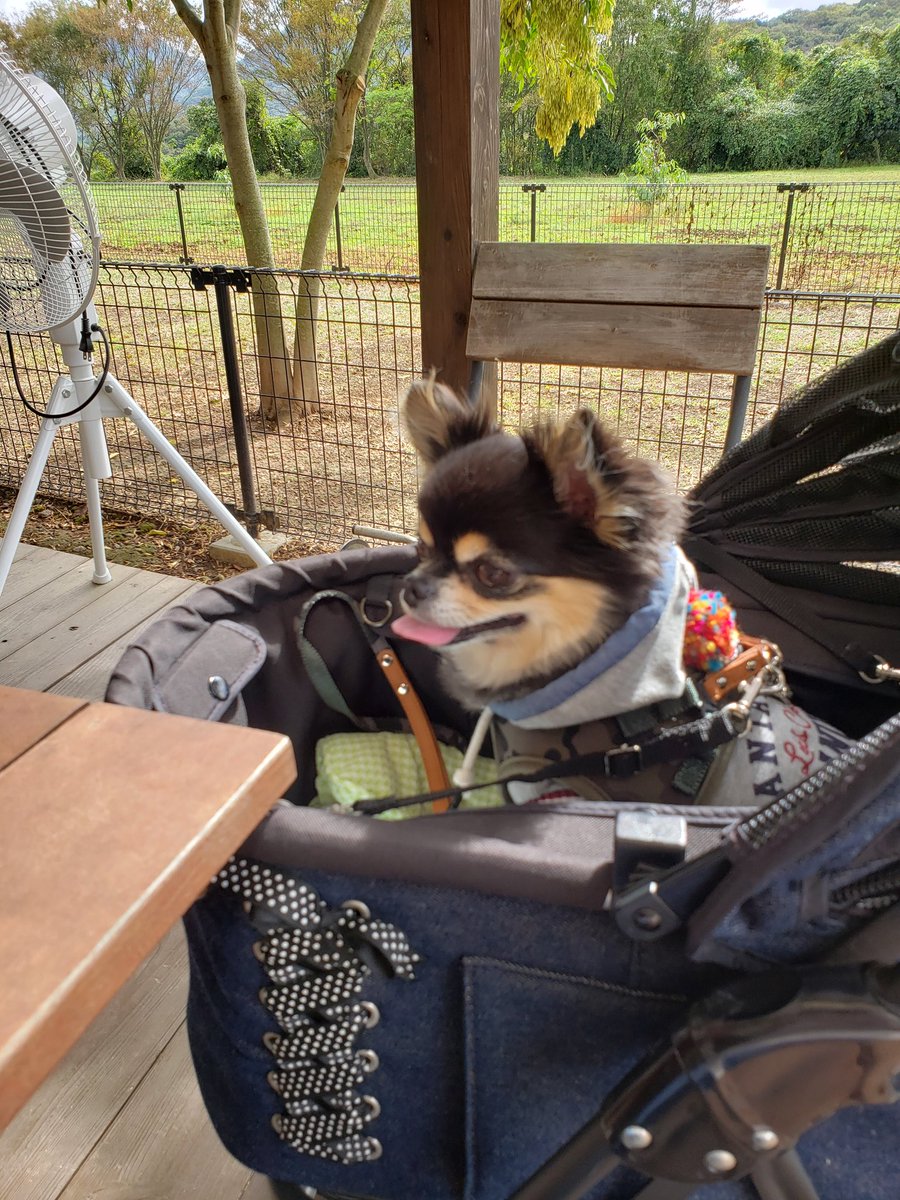 はちみつ工房芳苑