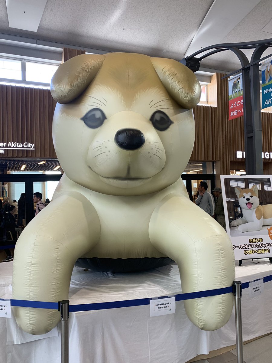 maple6493's tweet photo. さよなら秋田🥺また来年！ https://t.co/AeiiCOzwyw