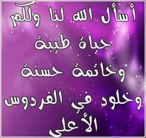 TefatEl's tweet photo. @88oo33 https://t.co/Gj7gg7QMJs
