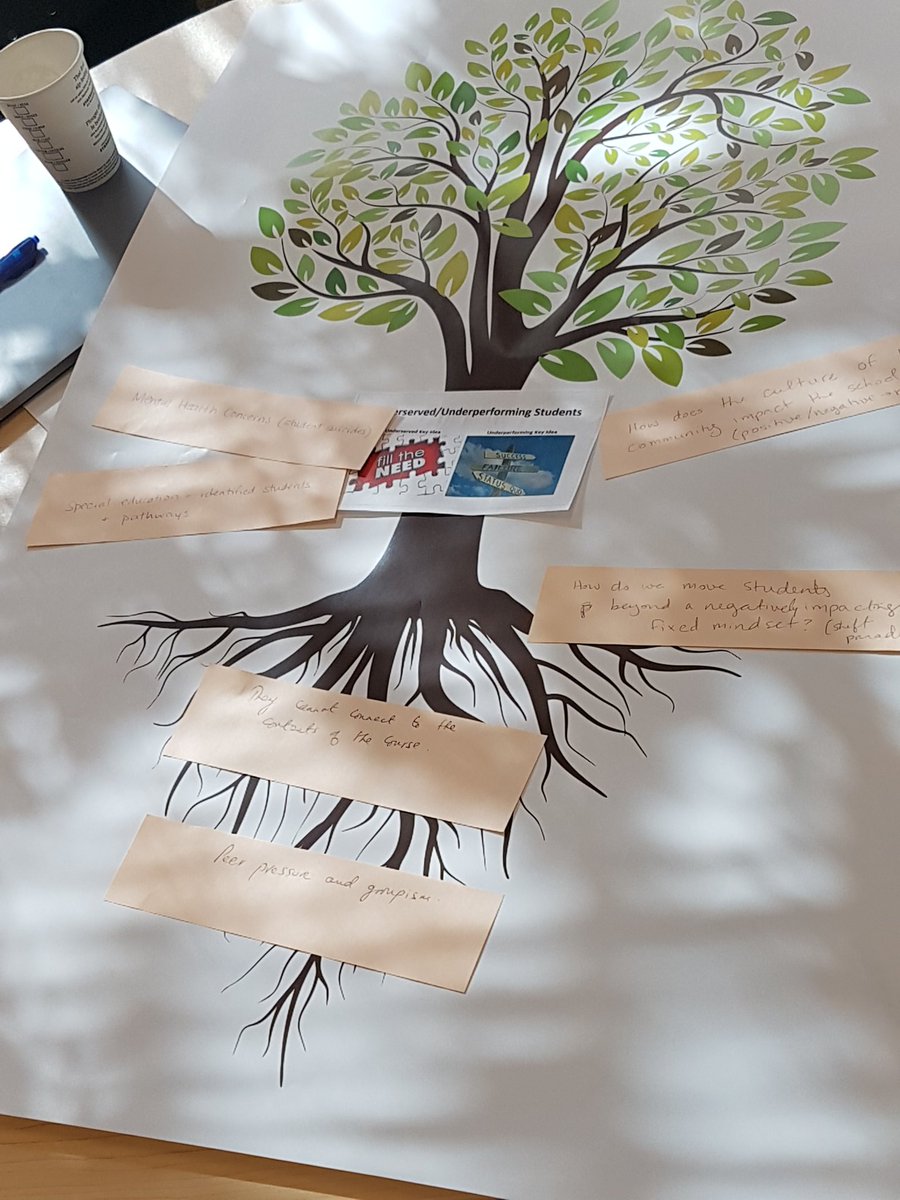 yrdsbinclusion's tweet image. #OPCPQP1 cohort use the #problemtreeanalysis as a consensus tool to narrow the focus in school planning @22dlj33, Helen Hart @DF5719