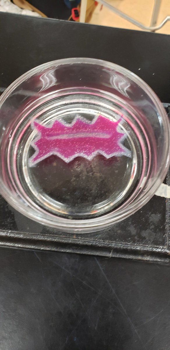 Scott Harkness tweet media