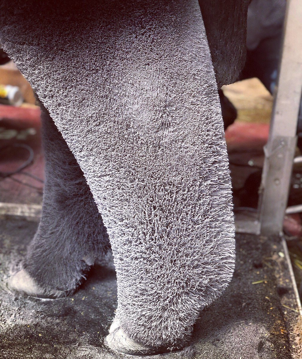 Big wheels spinnin’ 🥶🤮😈