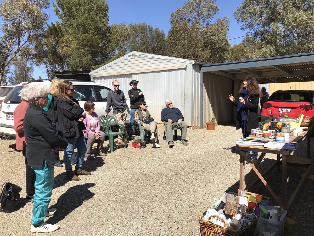 Lucy Sutherland tweet media