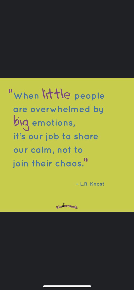Melissa35516551's tweet photo. The world is SO BIG for these little minds and bodies. Do not add more chaos, their emotions feel so big to them already. They need a source of calm- not a source of more chaos! #betheircalm #theyarewatchingyou #theyarelearningfromyou #teachthemcalmness https://t.co/3SSc8b2Bd0