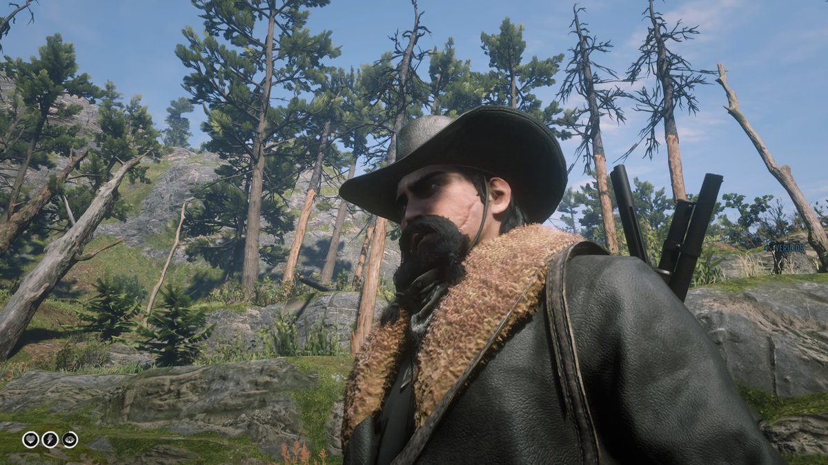RedDeadRedemption2 tweet media