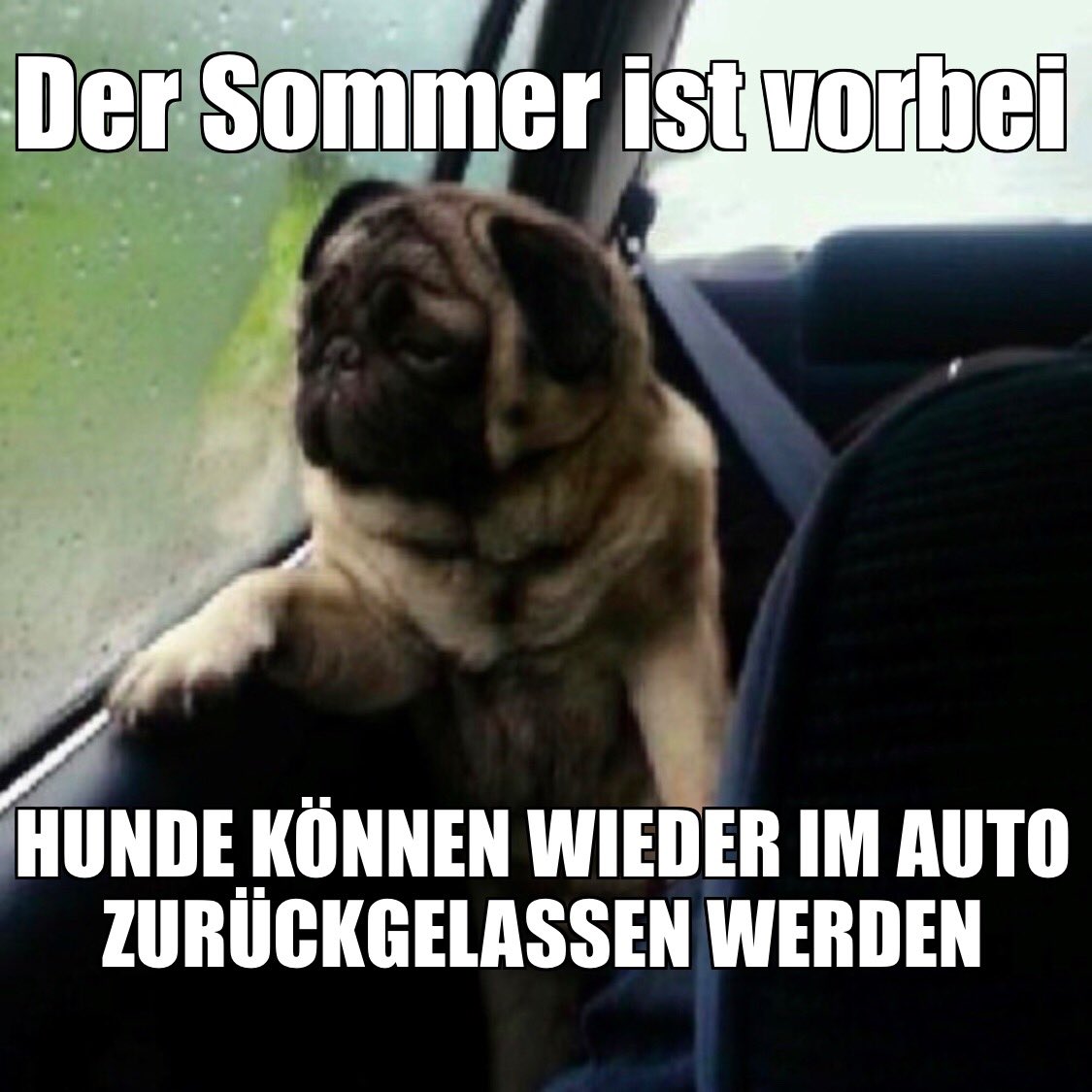 instagram.com/p/B3zOnaEhroV/… #meme #memes #memedeutsch #satire