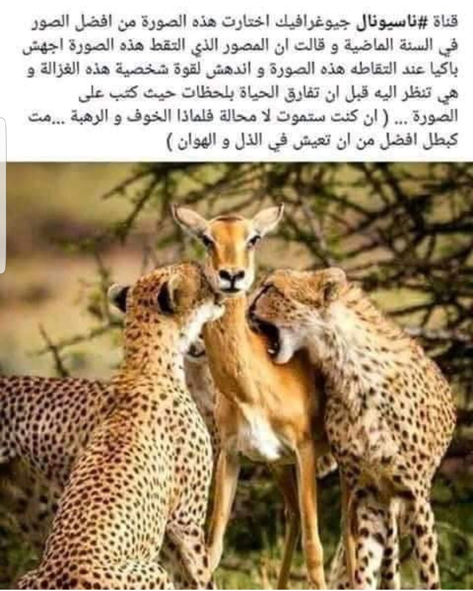 AliAzoozali's tweet photo. #انخفاض_البنزين https://t.co/wM9bKOOJ7I