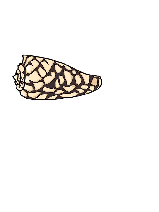 イモガイのtwitterイラスト検索結果 イモガイのtwitterイラスト検索結果