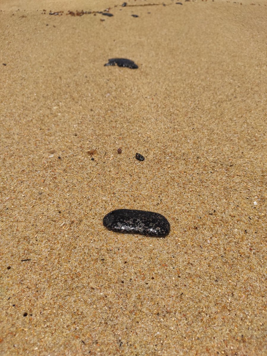 Ricardo Brazileiro tweet media