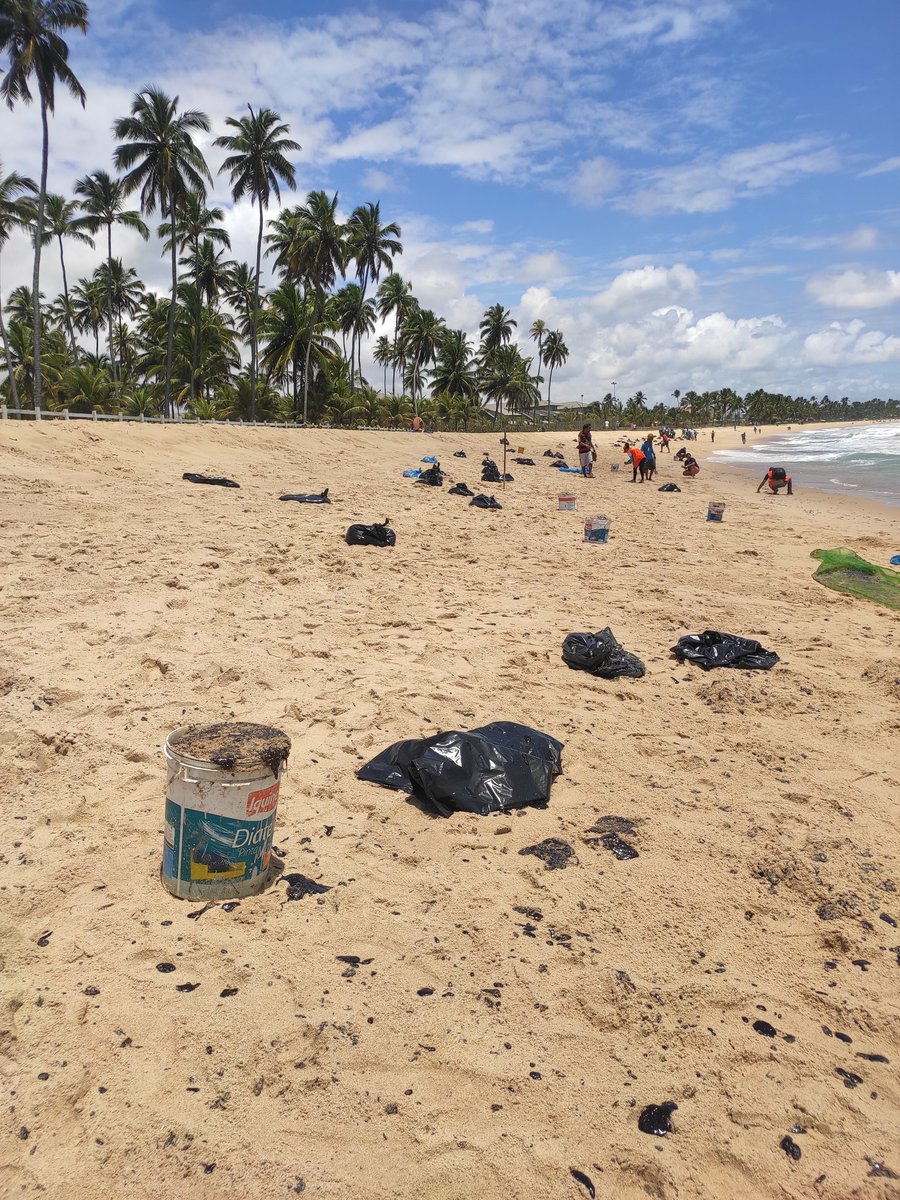 Ricardo Brazileiro tweet media