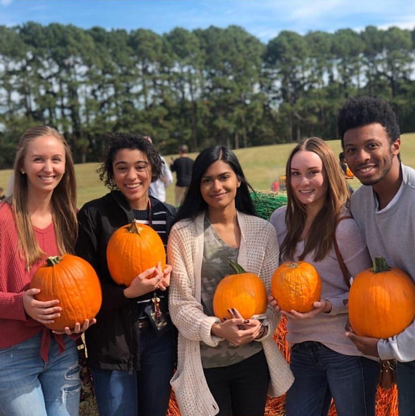 DixPark's tweet photo. Happy Fall Y'all!!! π
Thank you to everyone who joined us at #DixPark for #FallingForLocal with @ShopLocRaleigh today! https://t.co/Q6c4w6yMIX