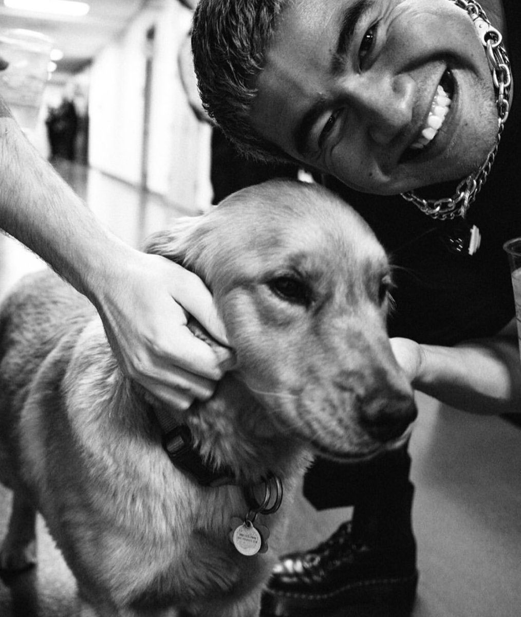 CalumDeaton's tweet photo. Good bois https://t.co/1jbzDyN1sL