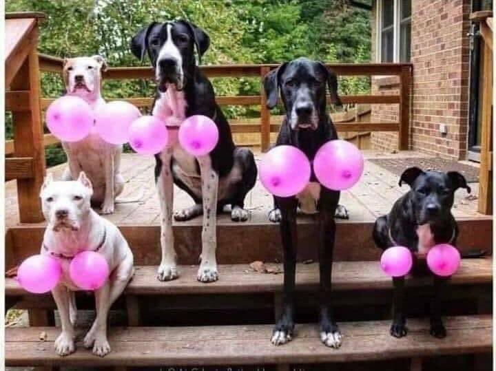 Estamos en el #MesRosa no olvides revisarte y así poder detectar a tiempo el cáncer de mama.

 #OctubreRosa