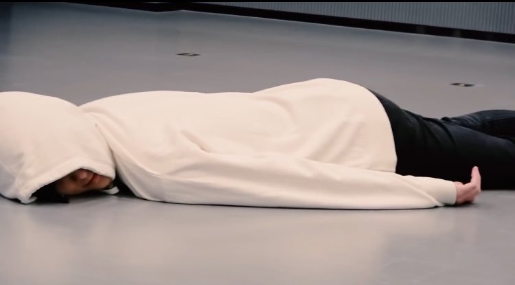 hendery as ragdolls 🐱 tweet media