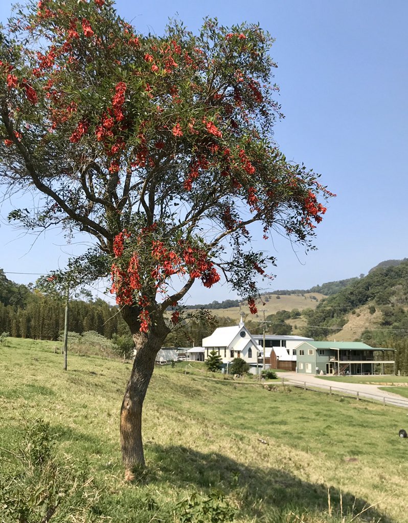 AnthonyTindale1's tweet photo. Another wonderful Meditation Weekend at Andelaine. https://t.co/NGqFMLcgMq