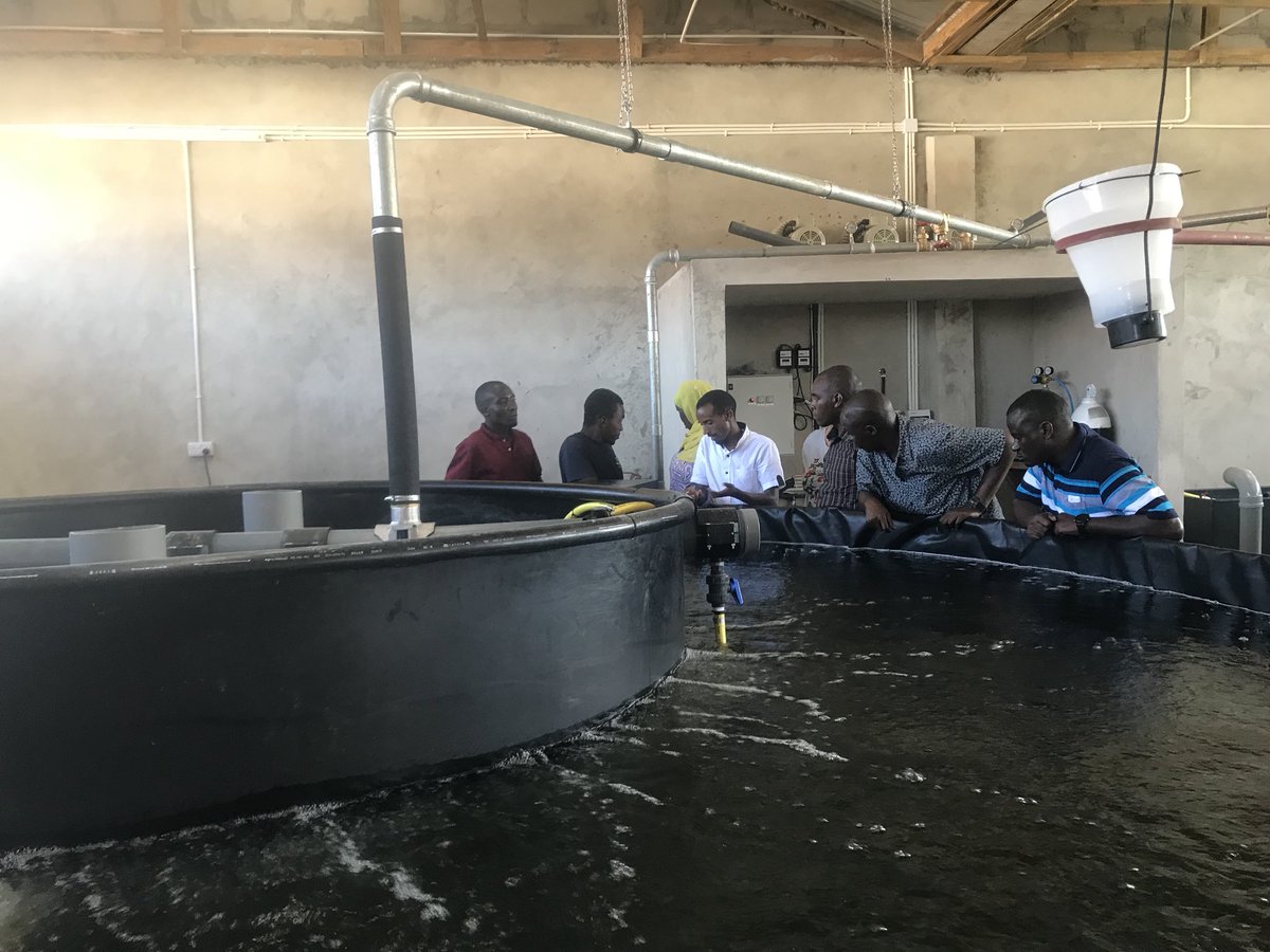 New technologies #aquaculture