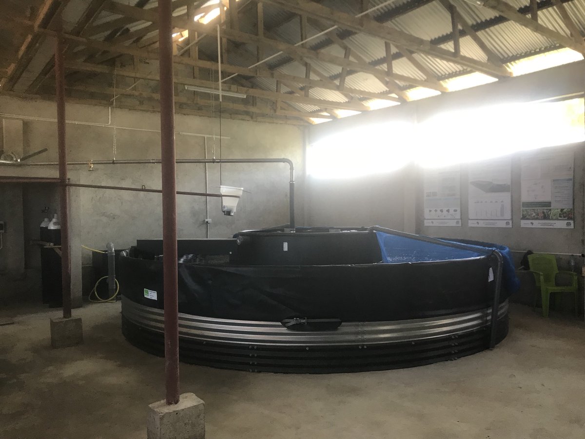 RAS technology #aquaculture