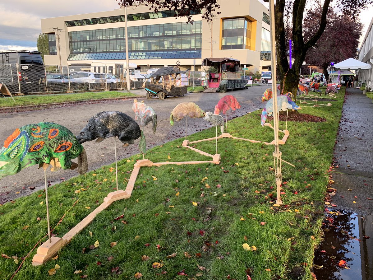 CoyoteGarden's tweet photo. 27 #coyotes from #CoyoteGarden have invaded #Georgetown for #Seacompression https://t.co/7xyjtNAl7K