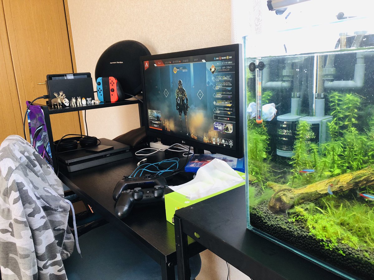 すけすけ アクアリウム 次はゲーミングチェアとゴリゴリのpcを買うんやで O