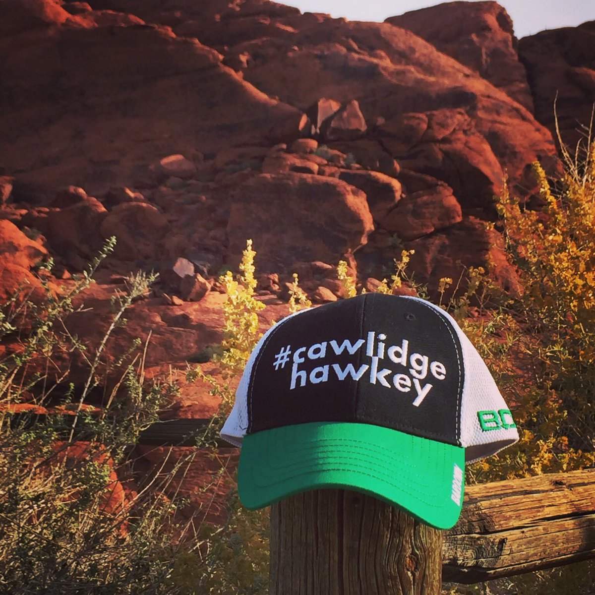 Buccigross's tweet photo. National Champion contender (#FrozenFour in Detroit next April) Minnesota St (3-0-1) beats North Dakota 2-1 as Edwin Hookenson scores the 3rd period winner. The Mavericks play a strong non WCHA Conference schedule https://t.co/7sjxsPk2Cz