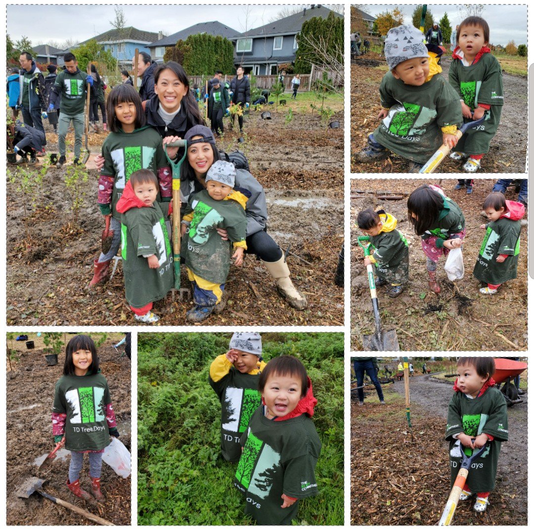 Helping out @TDTreeDays 🌳 Planting trees and shrubs 🌱 #TDTreeDays