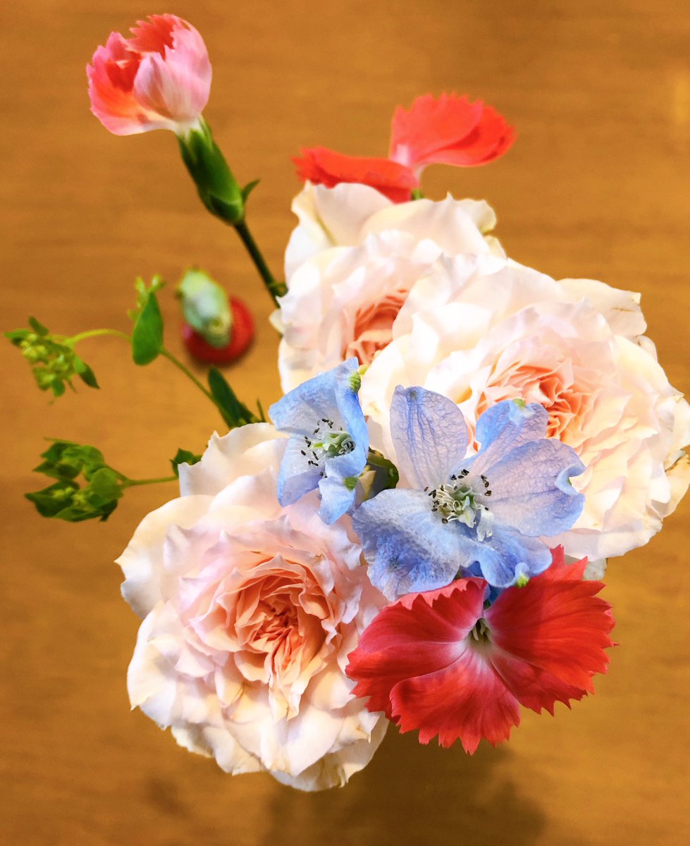 美しい花の画像 75 ブプレリウム 花 言葉