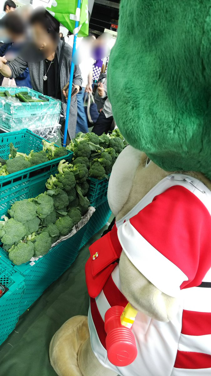 【哲也　交渉中】どどーんと値下げ！大人気のブロッコリー種【おはよう】2個 哲也 交渉中】どどーんと値下げ！大人気のブロッコリー種