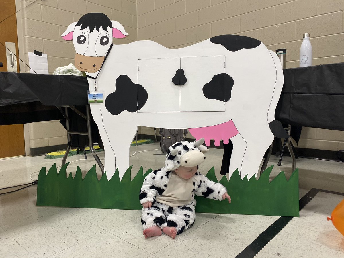 laurenpalmerphd's tweet photo. This baby cow helped us look at Lactobacillus bacteria that turn milk into yogurt #MEGAMicrobe @VI4Research #cowspo https://t.co/wzVbqqiuoi